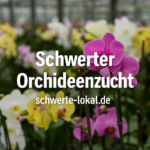 Schwerter Orchideenzucht