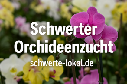 Schwerter Orchideenzucht