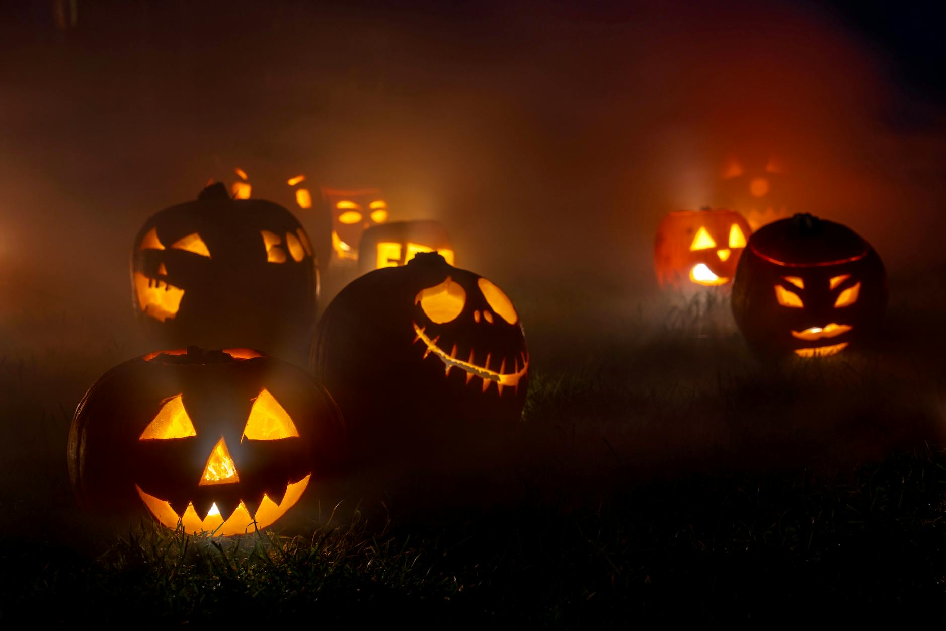 spooky halloween jack o lanterns in the fog